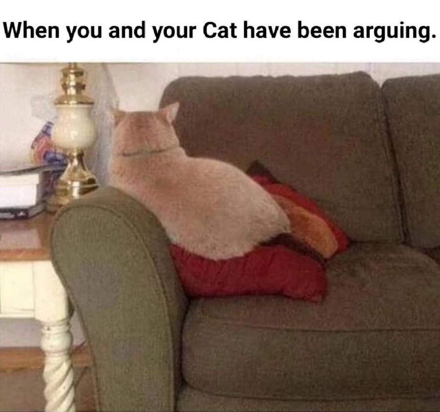 You animal