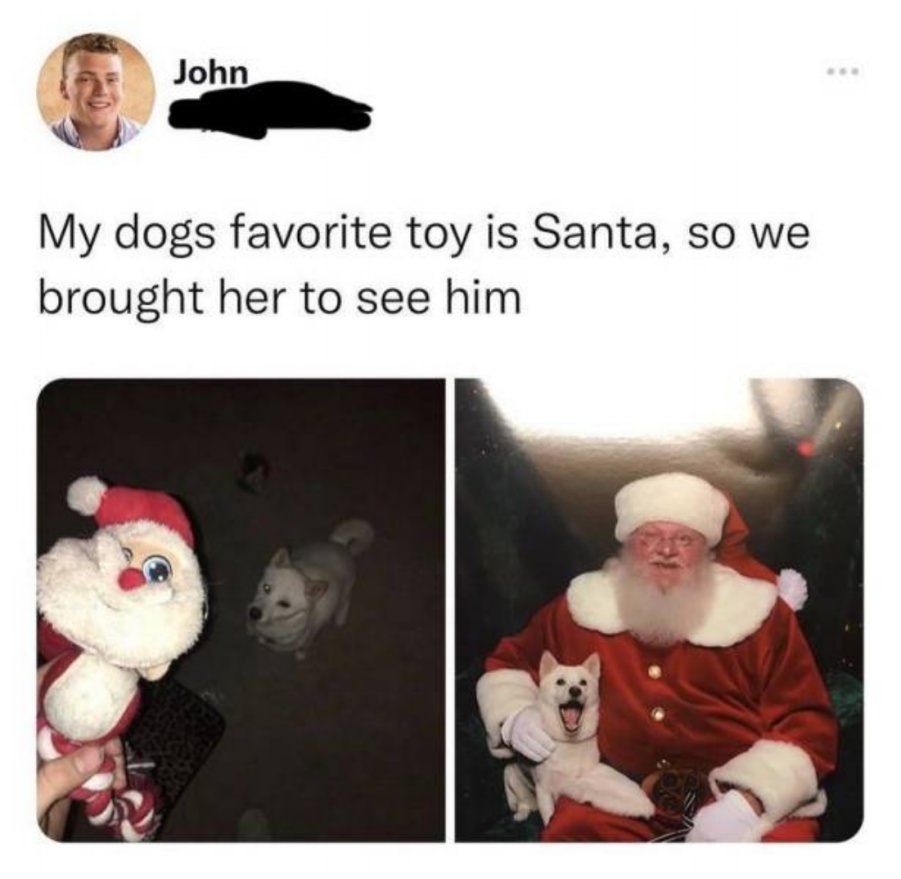 You animal
