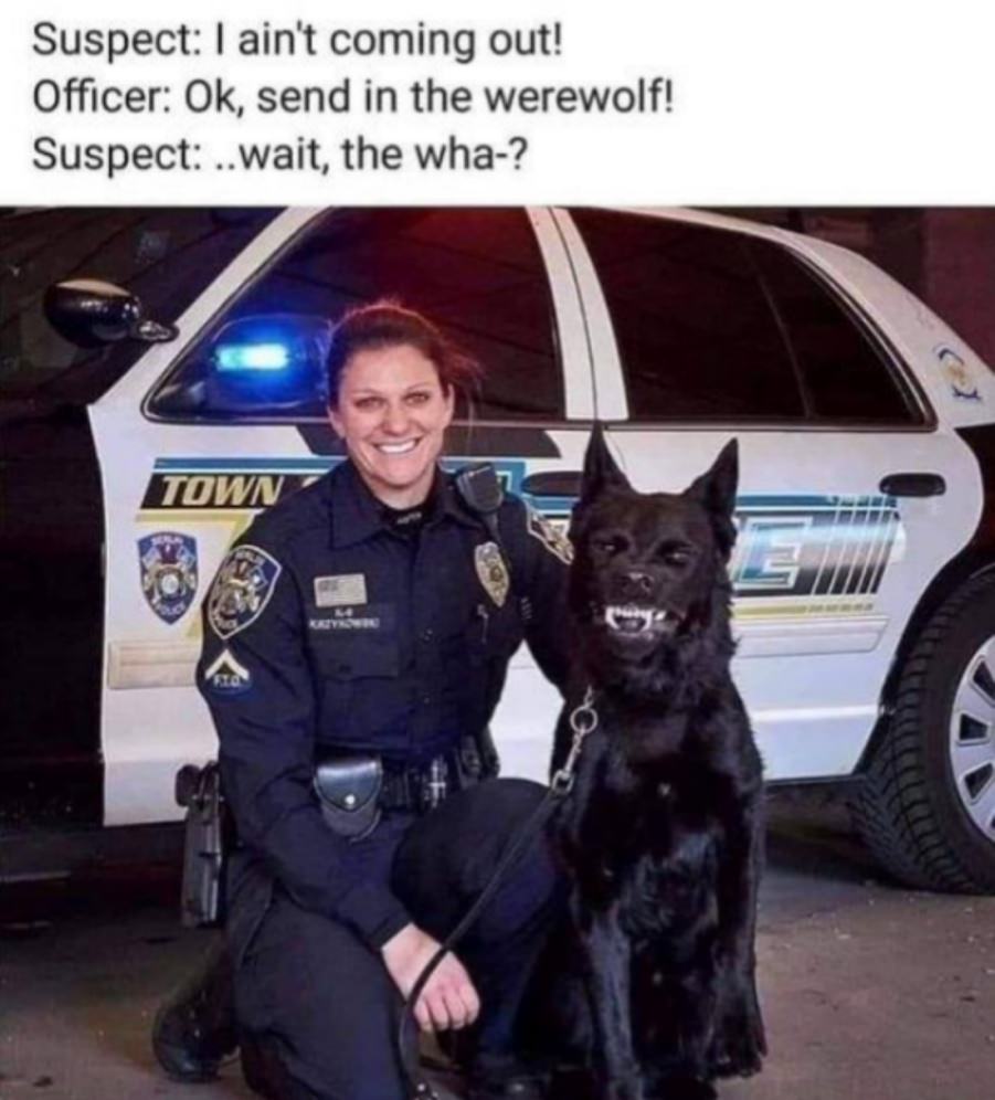 You animal