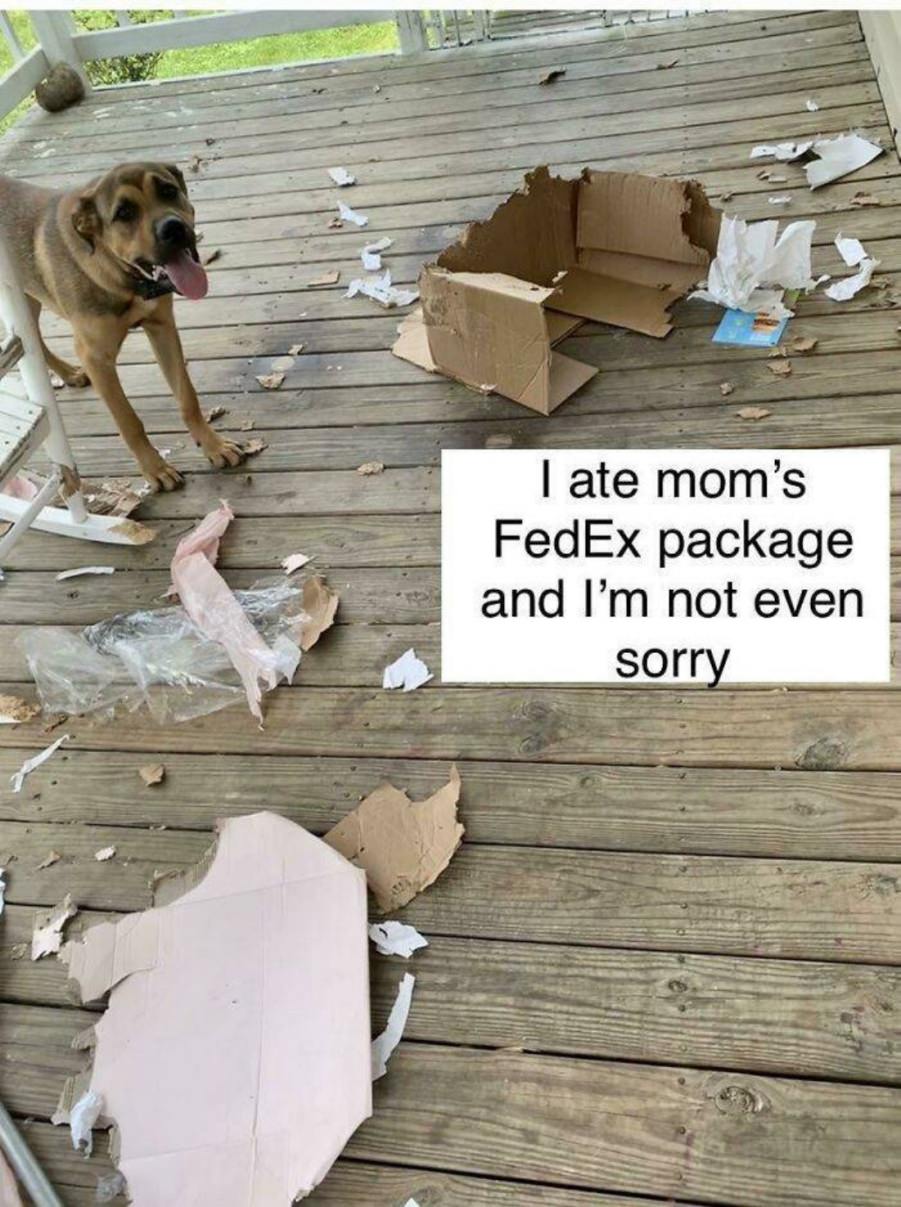 You animal