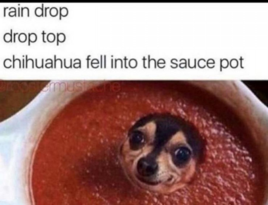 You animal