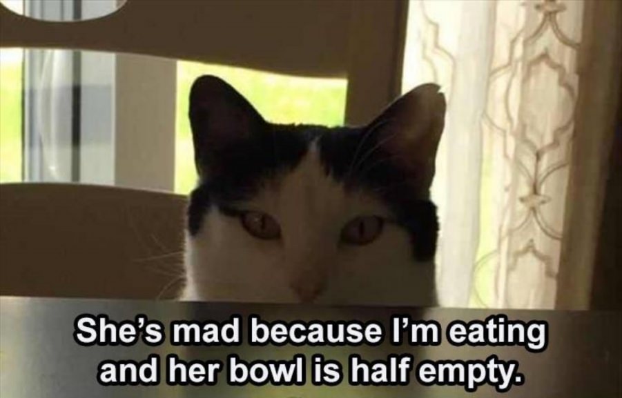You animal