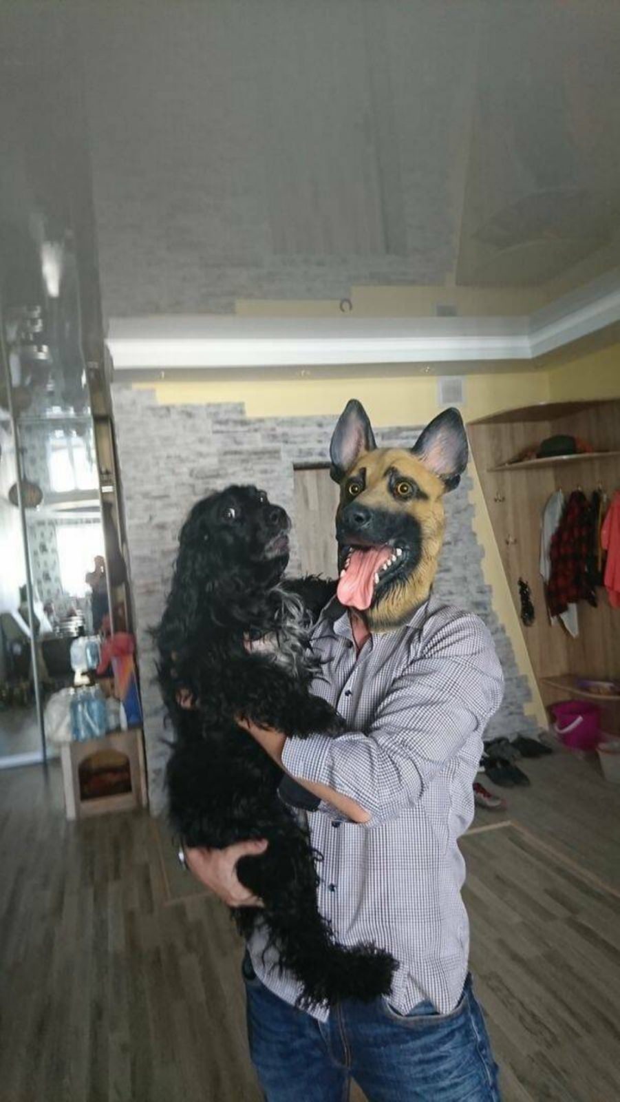 You animal