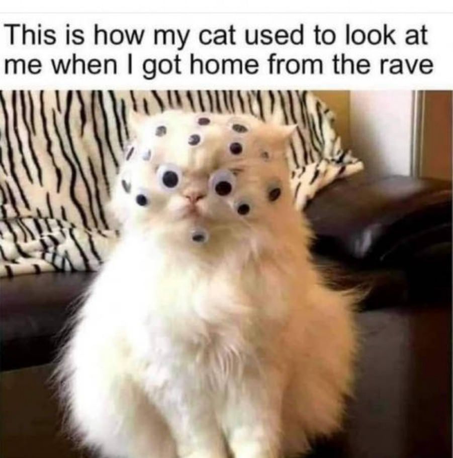 You animal