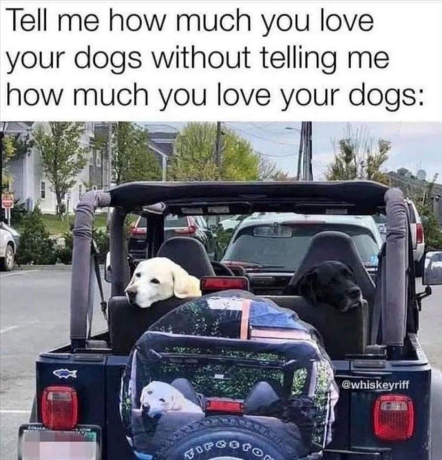 You animal