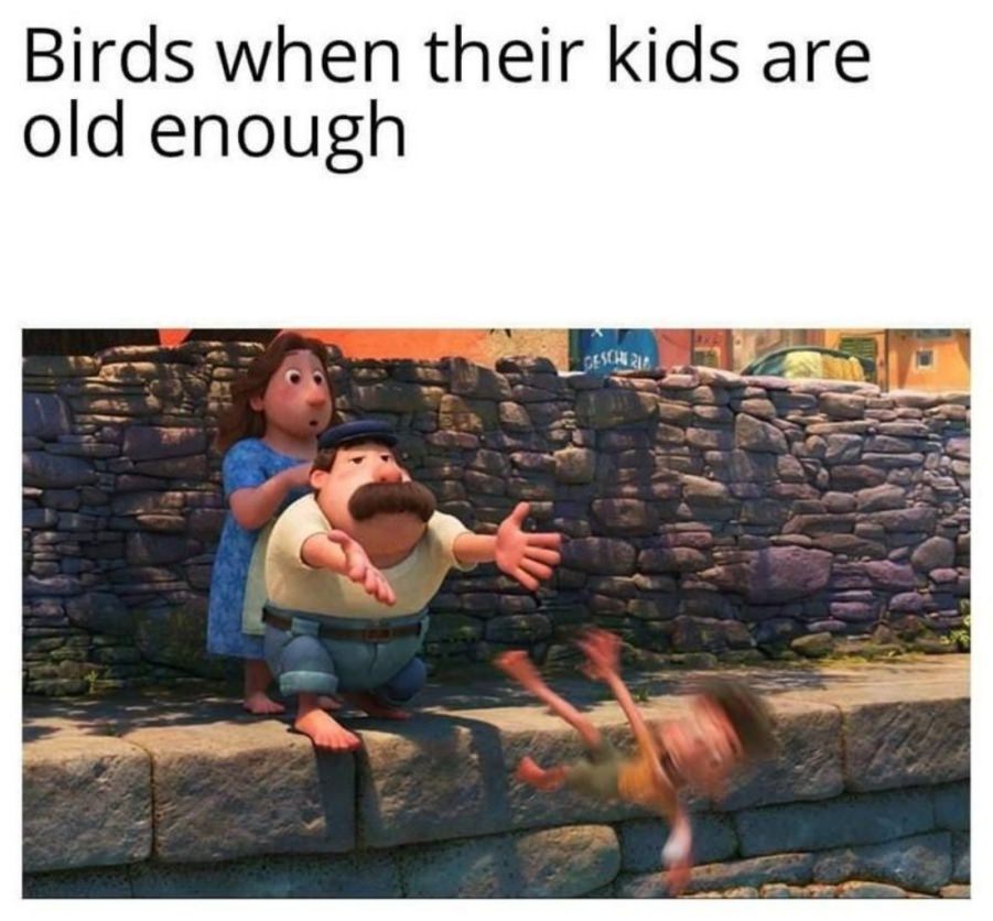 You animal