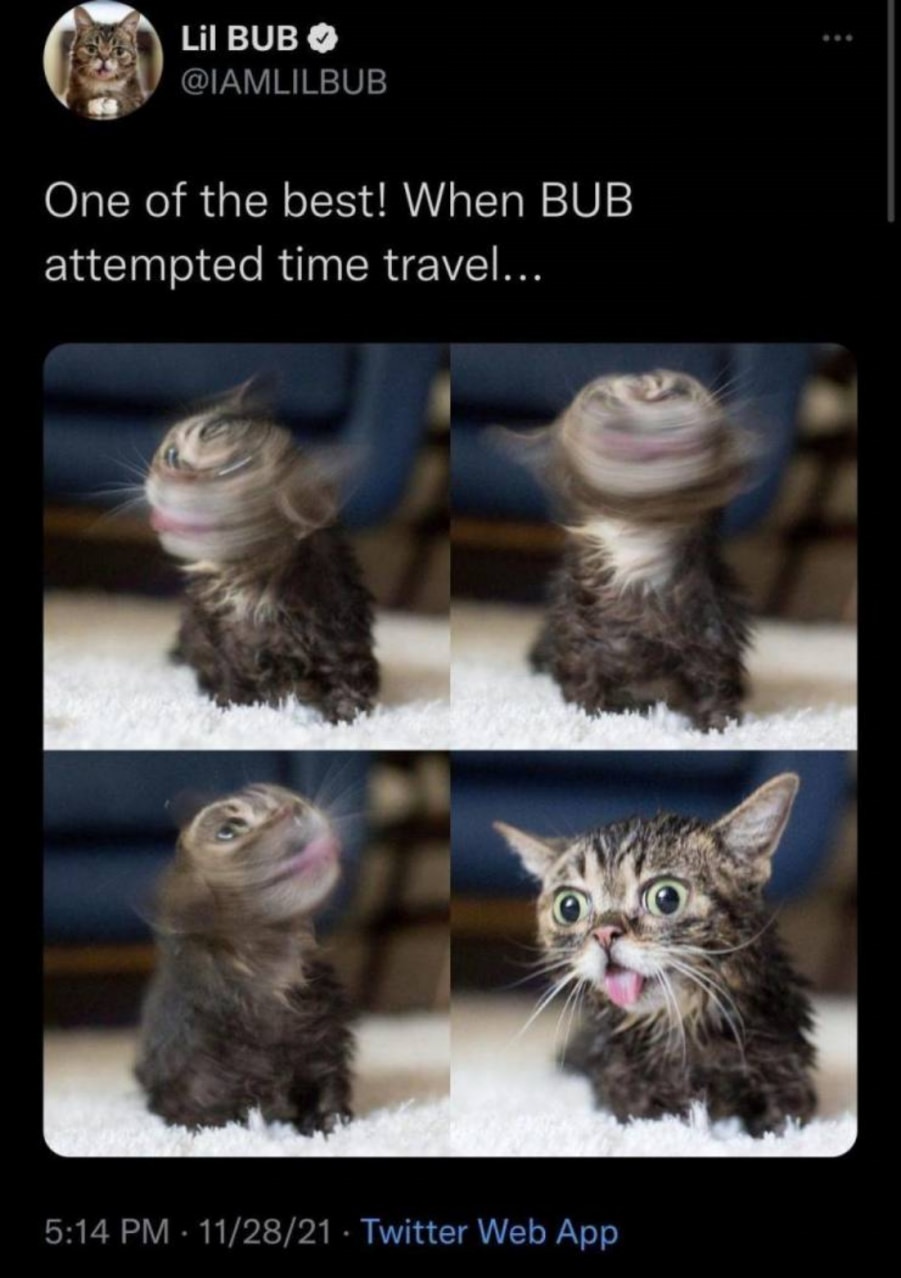 You animal