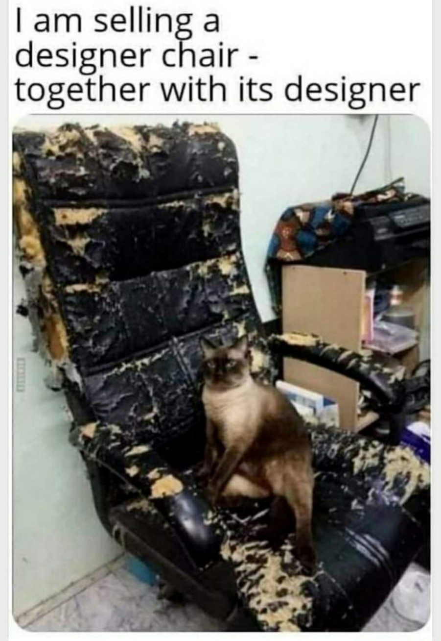 You animal