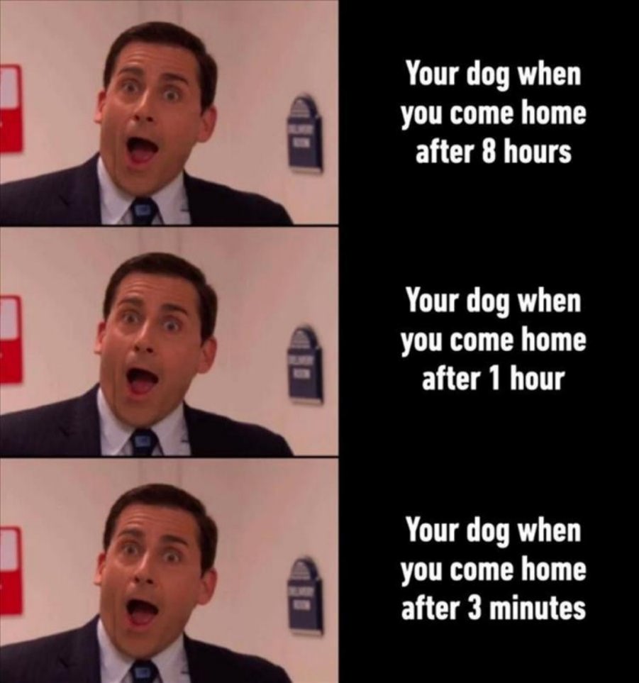You animal
