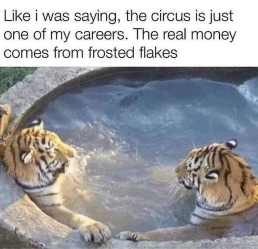 You animal