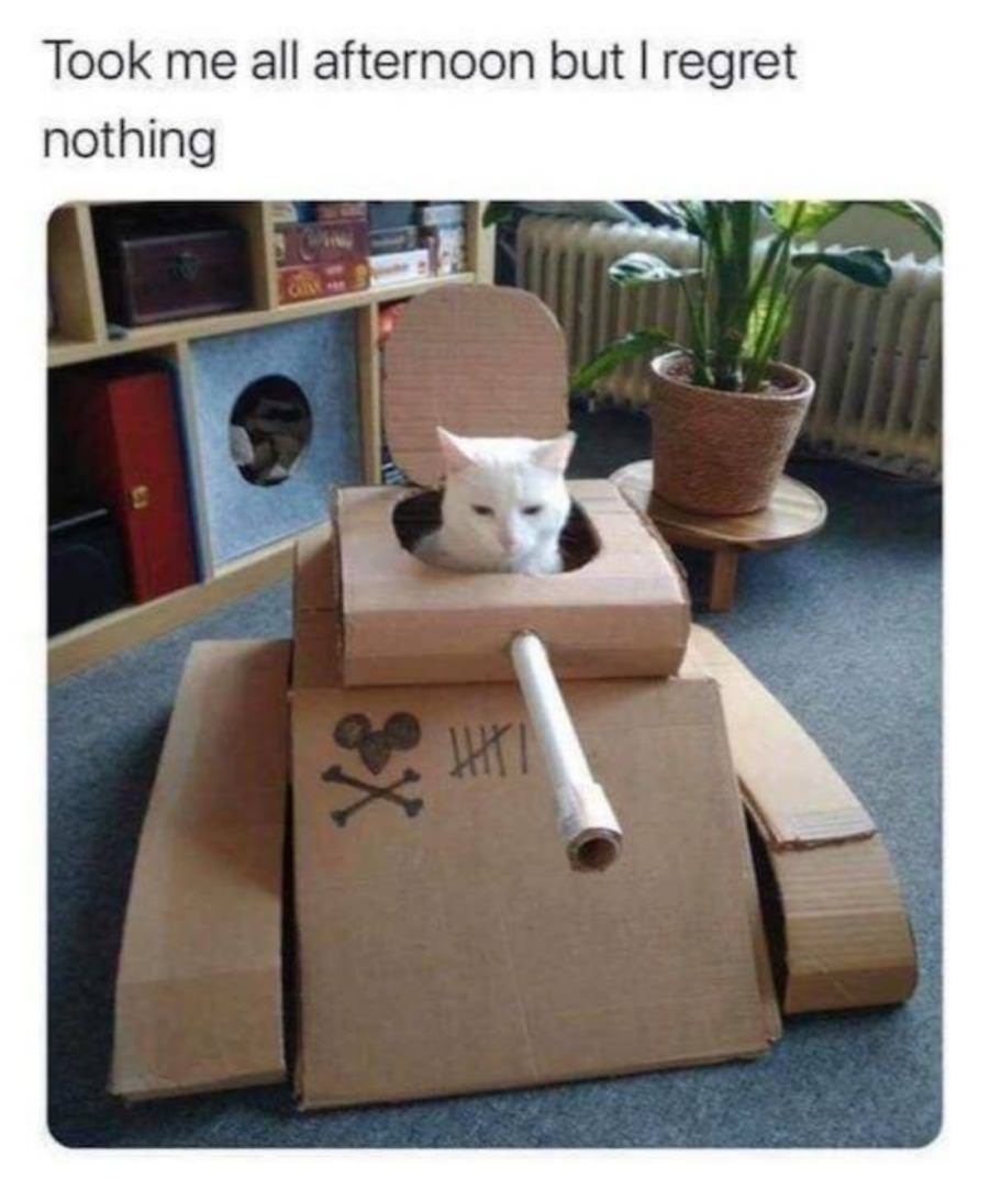 You animal