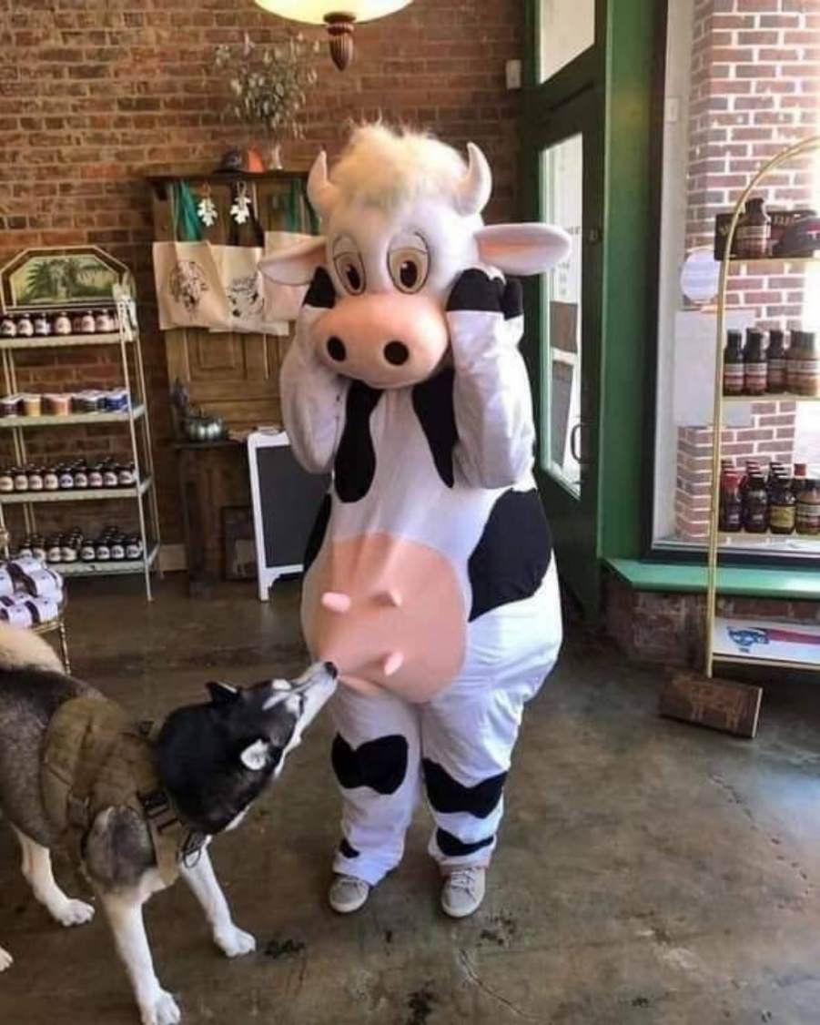 You animal