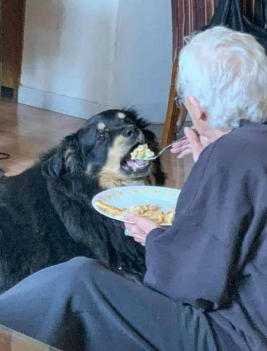 You animal