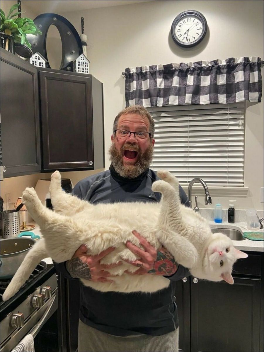 You animal