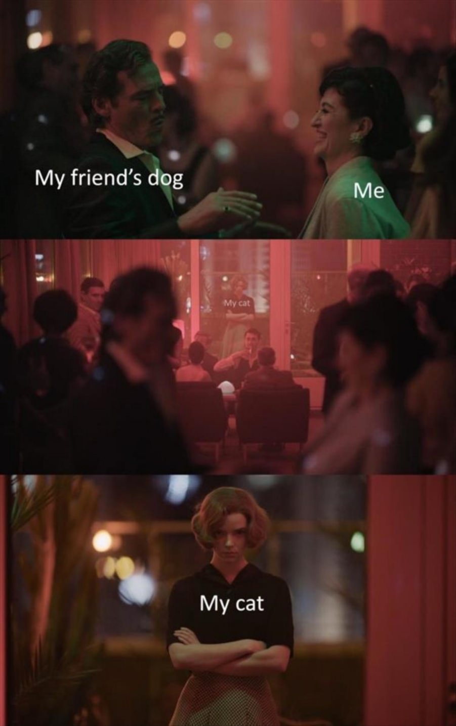 You animal