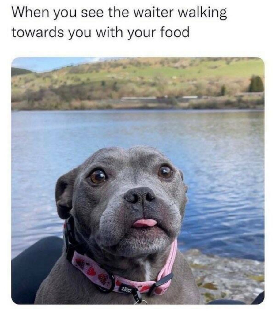 You animal