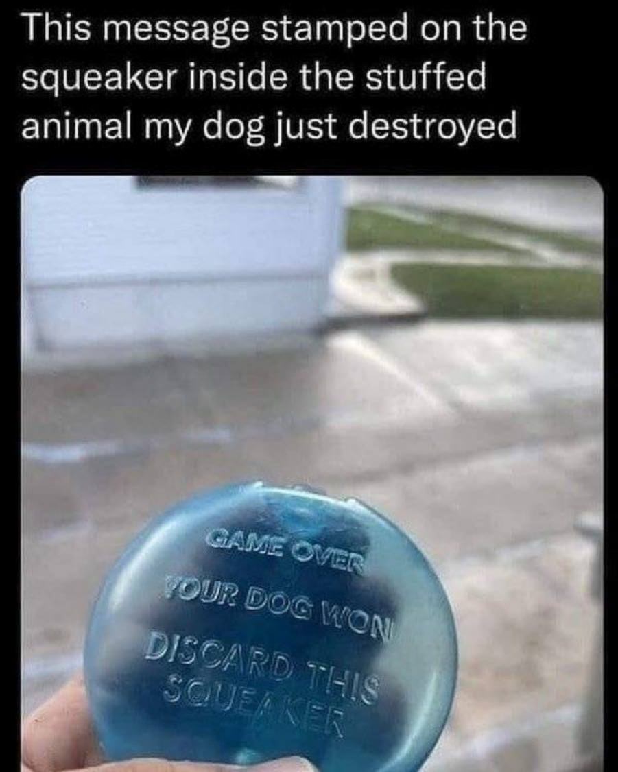 You animal