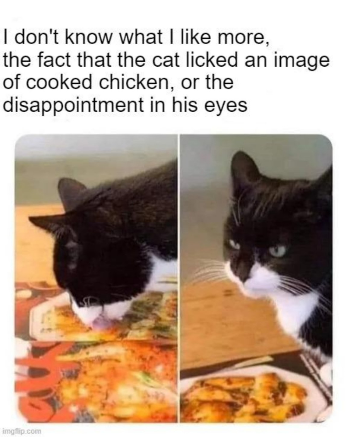 You Animal