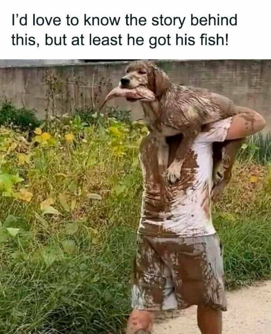 You Animal