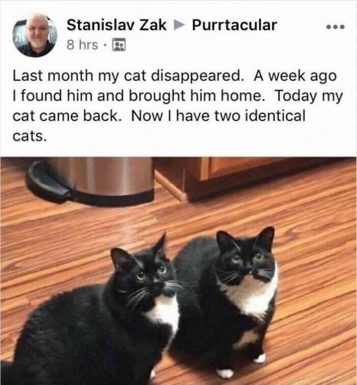 You Animal