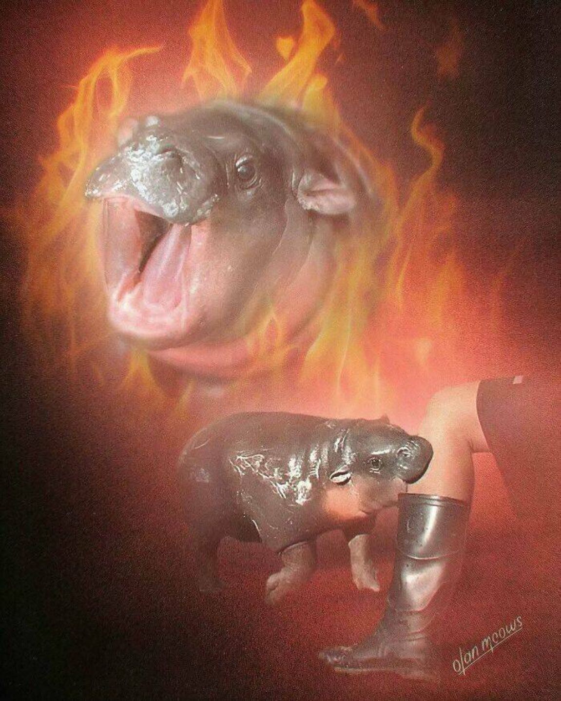 You Animal