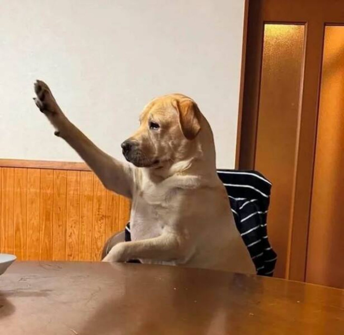 You Animal