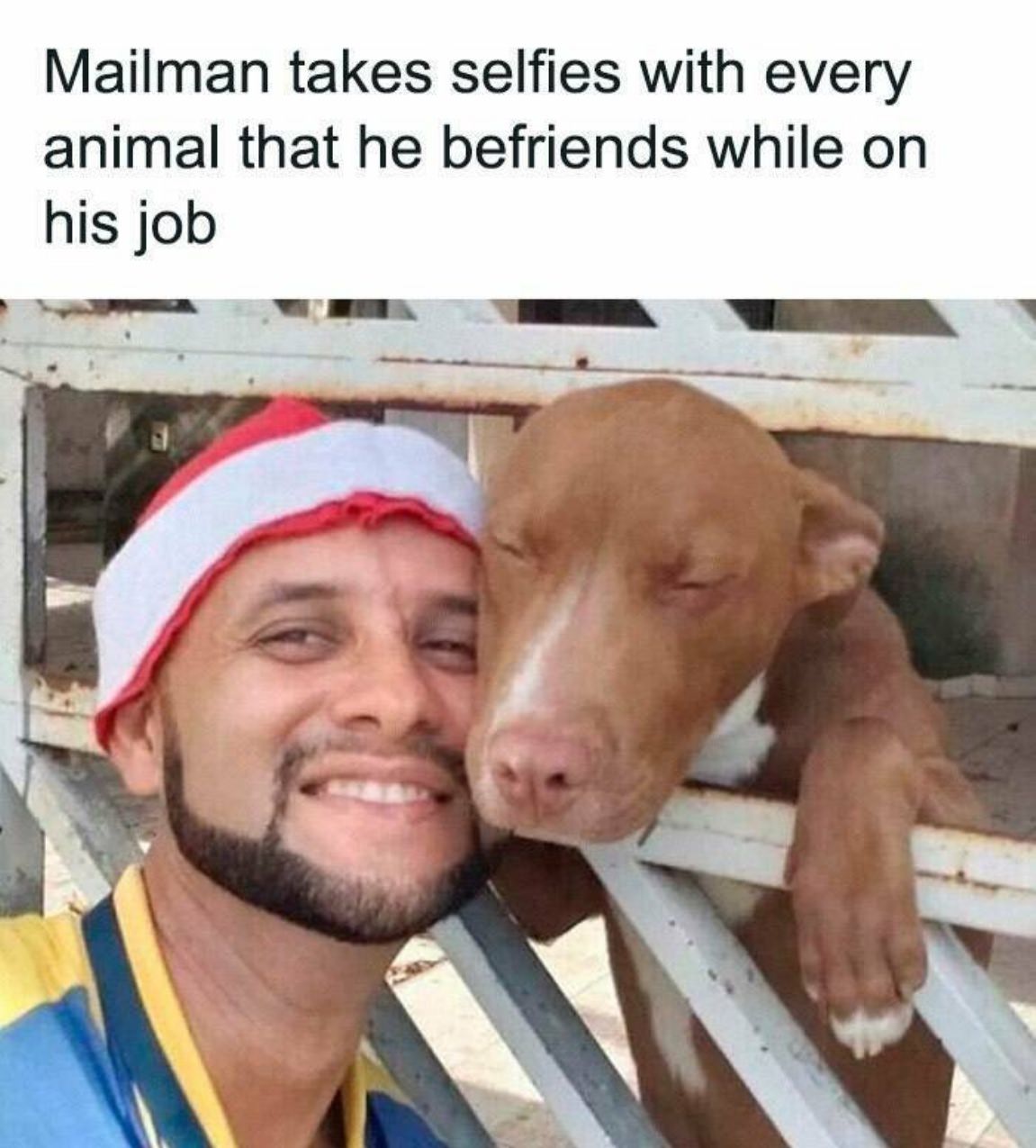 You Animal