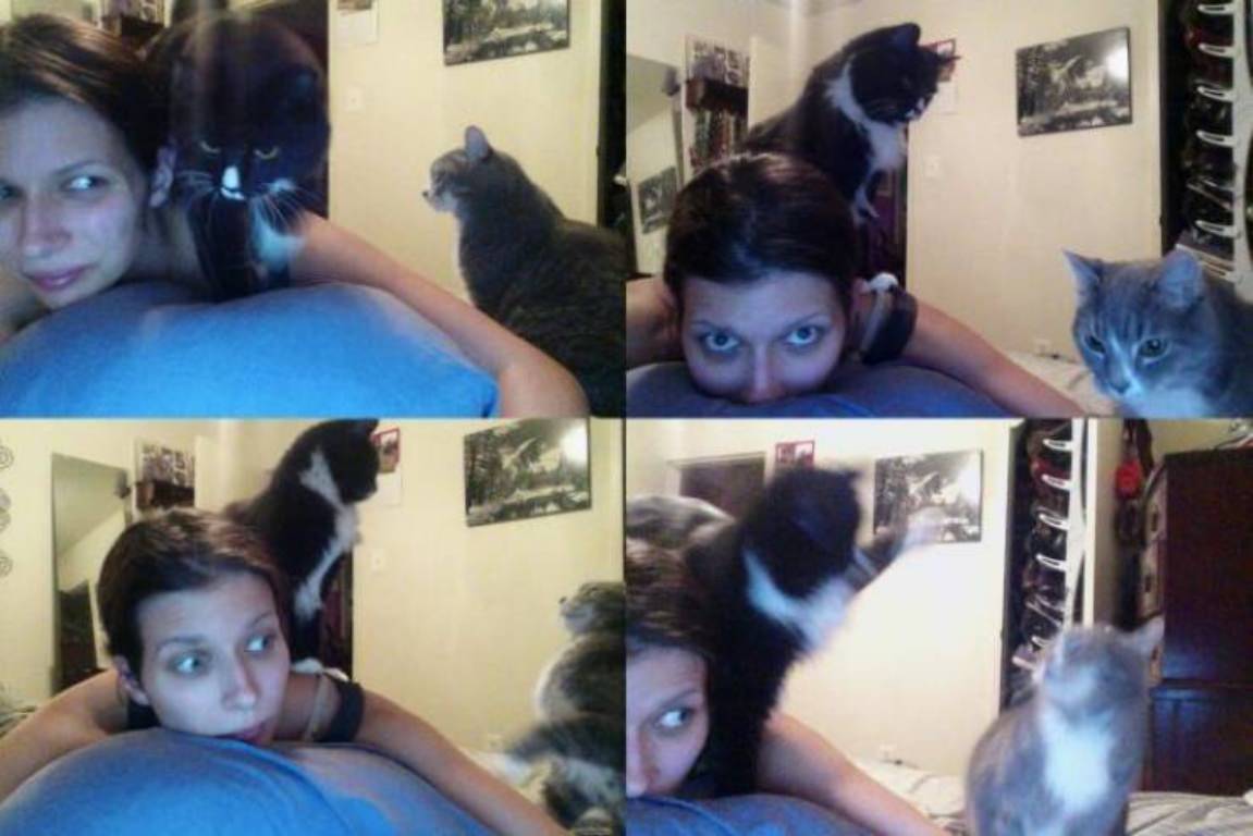 You Animal