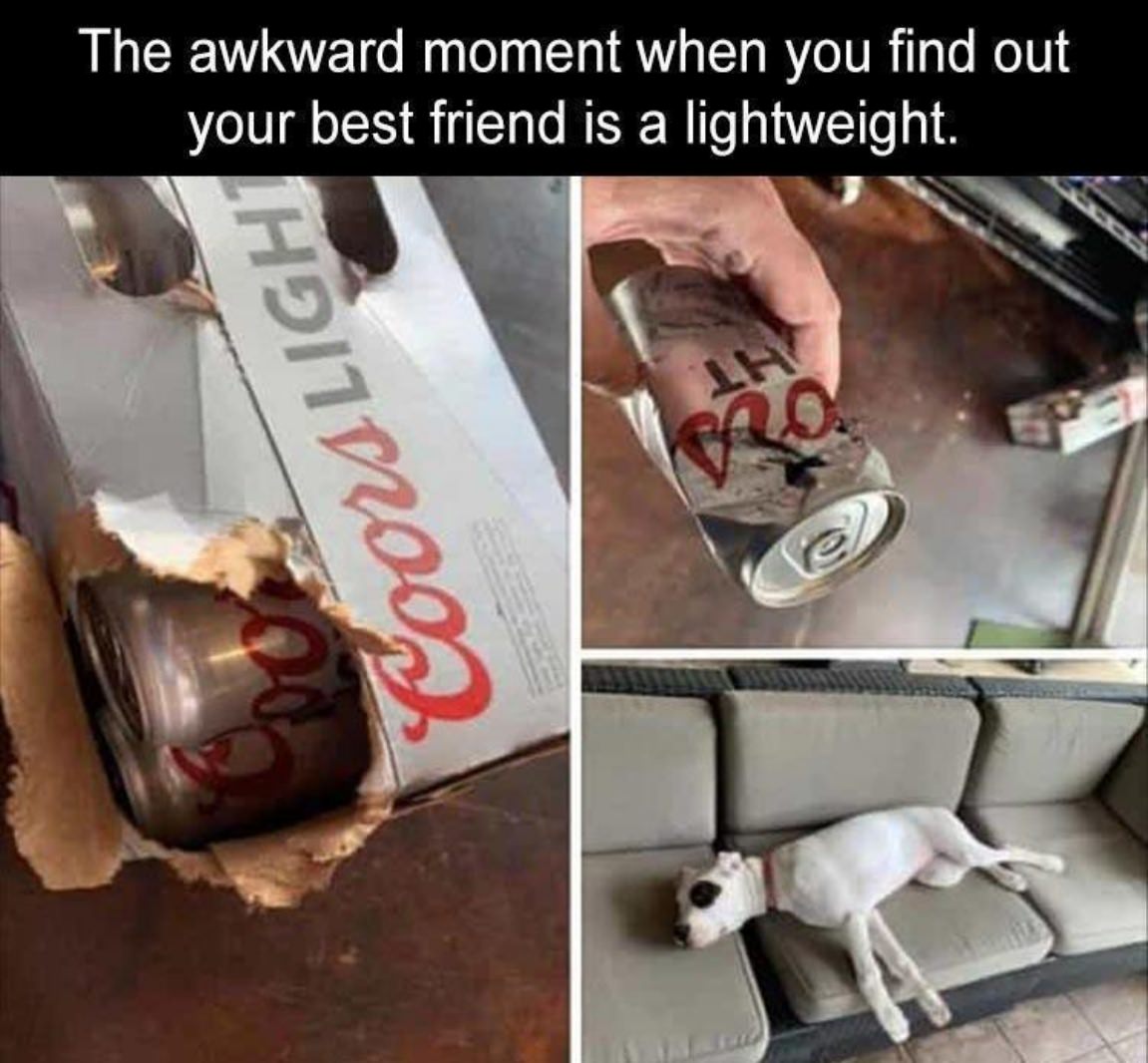 You Animal