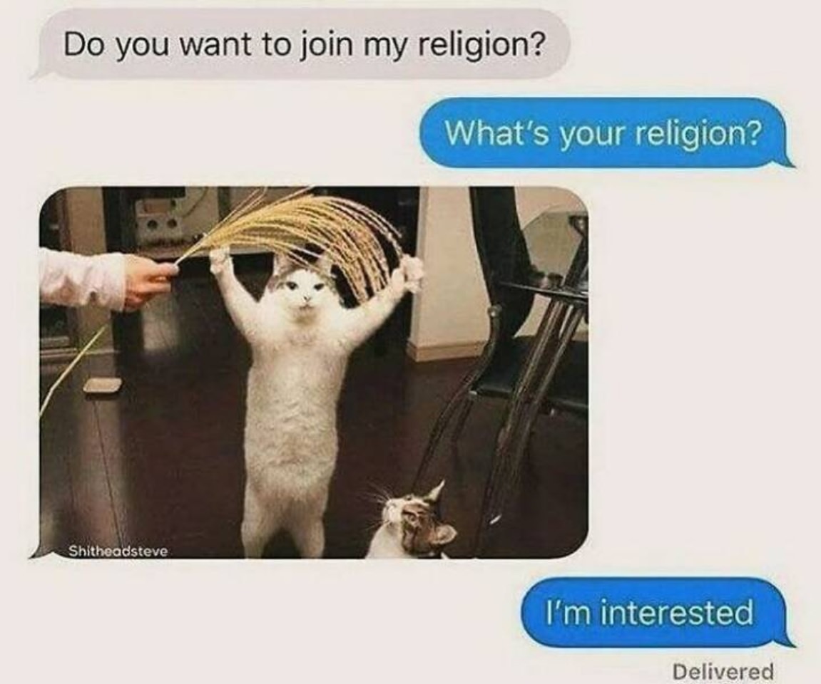 You Animal