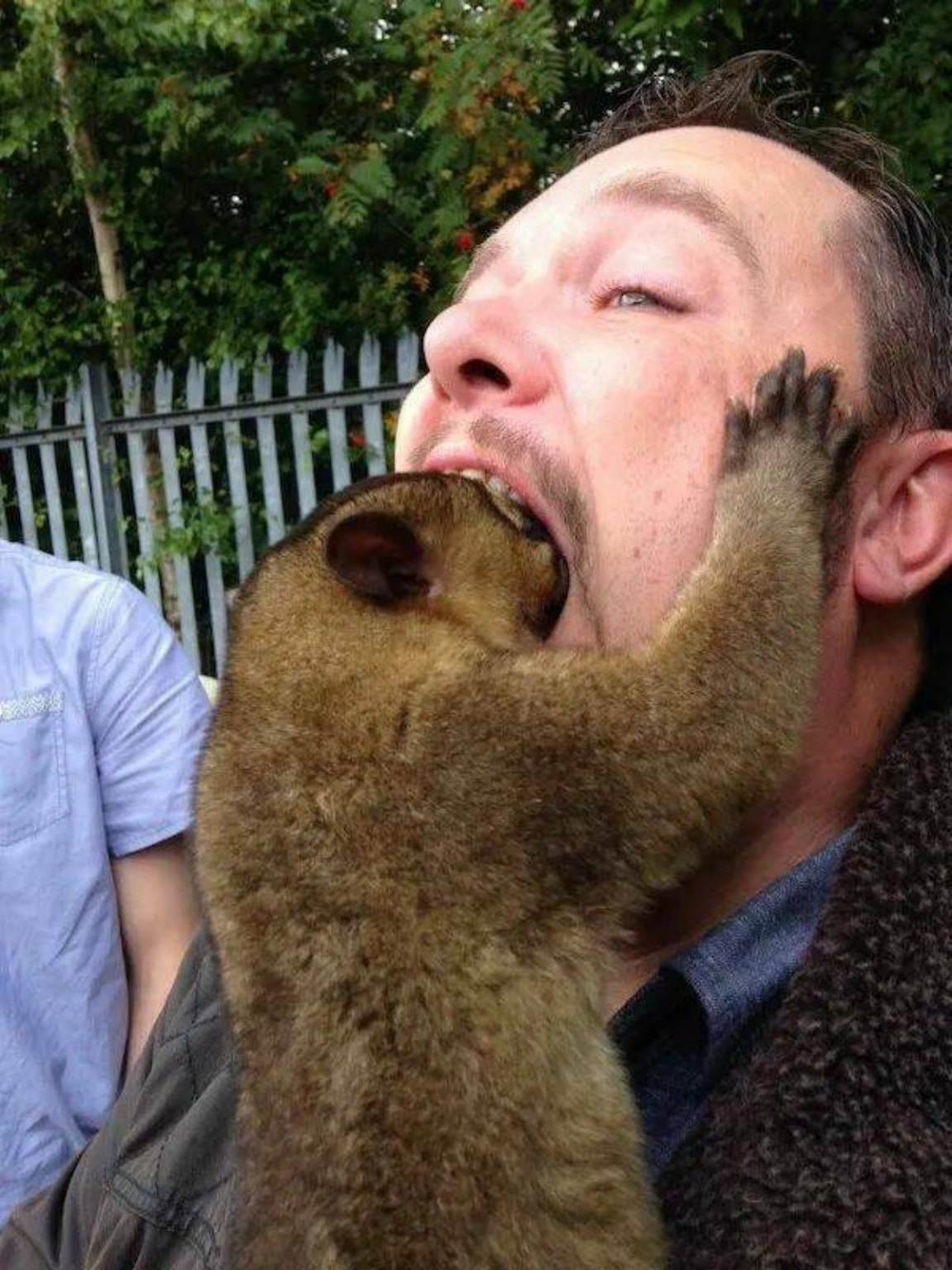 You Animal