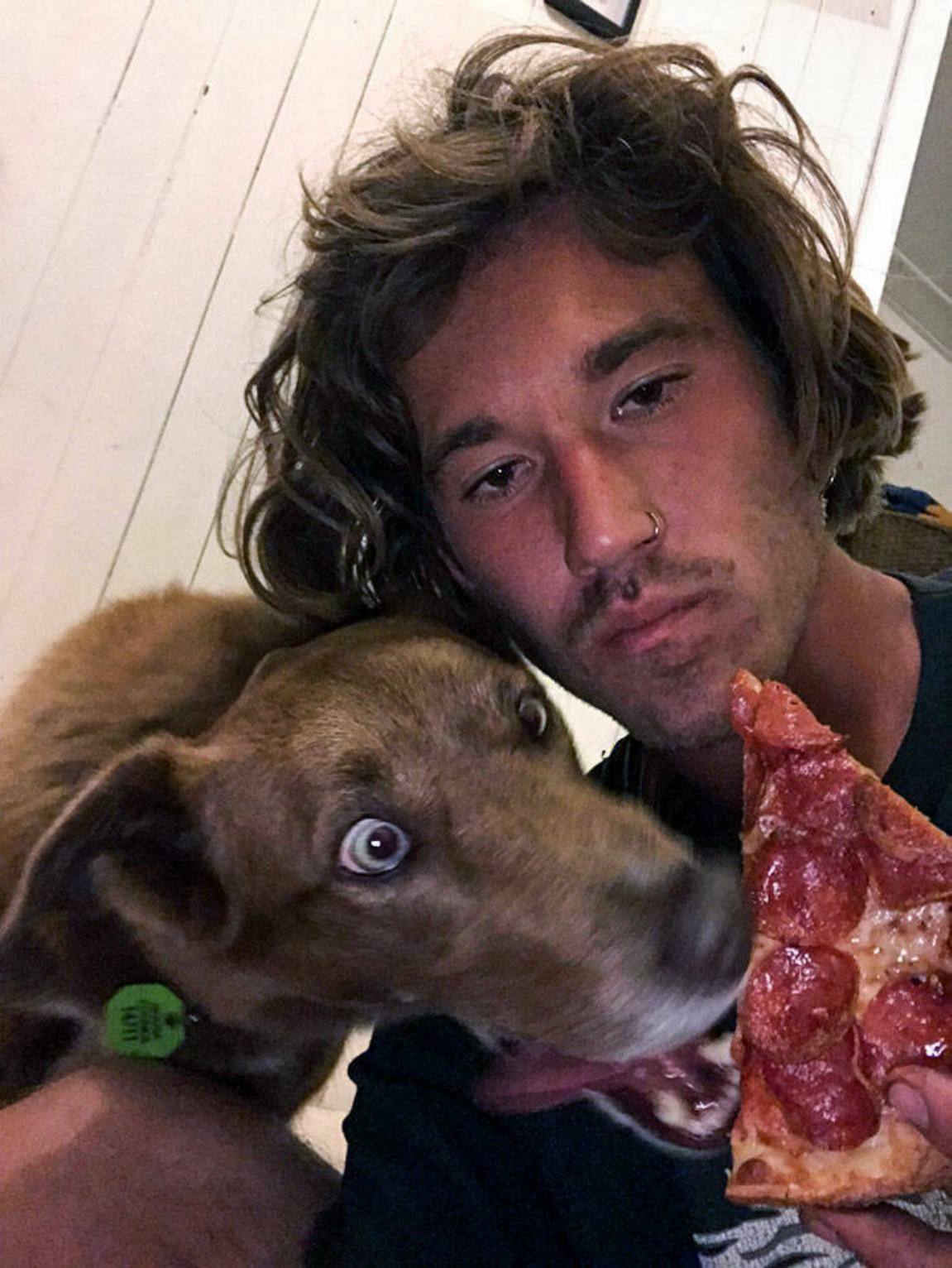 You Animal