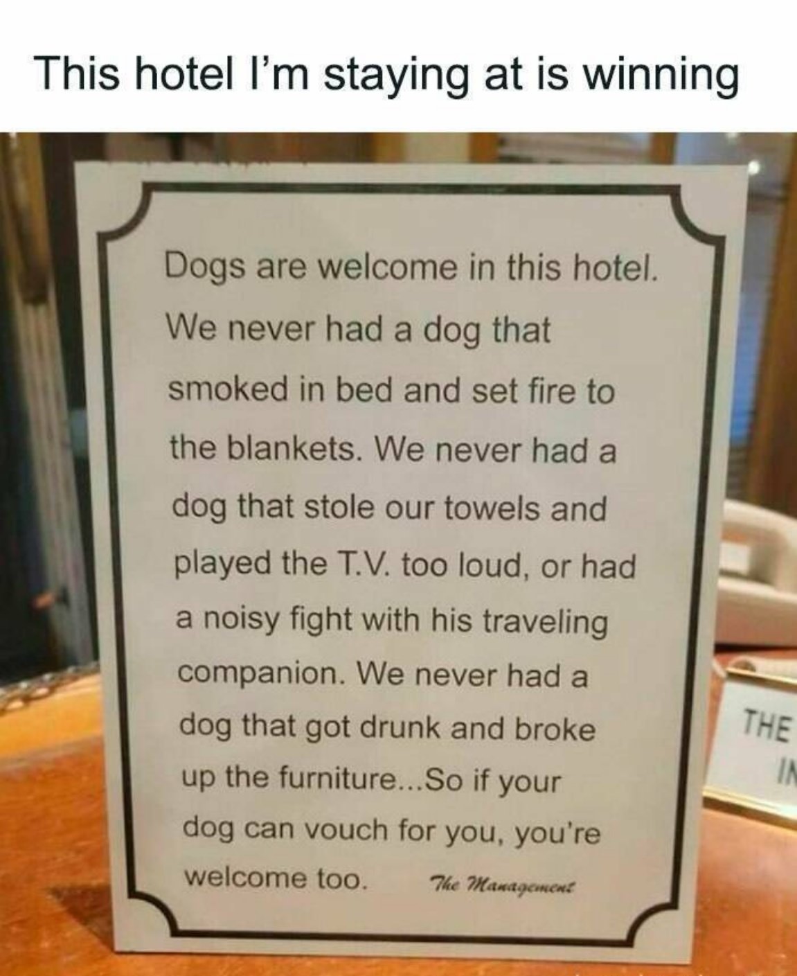 You Animal