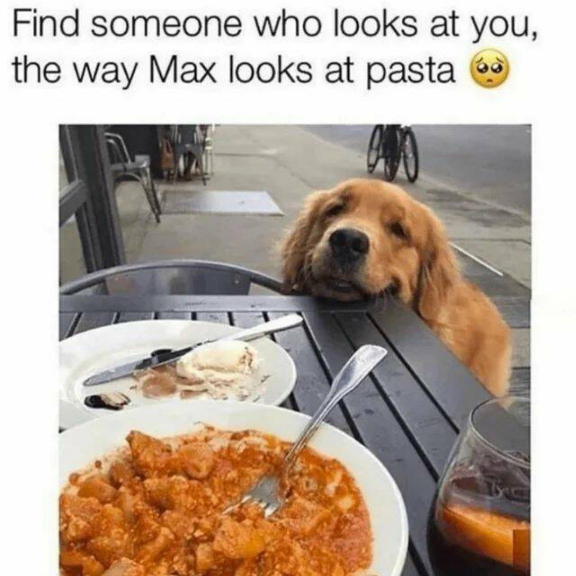 You Animal