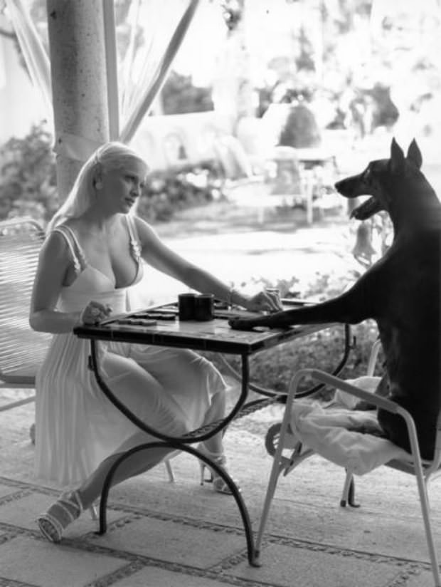animals