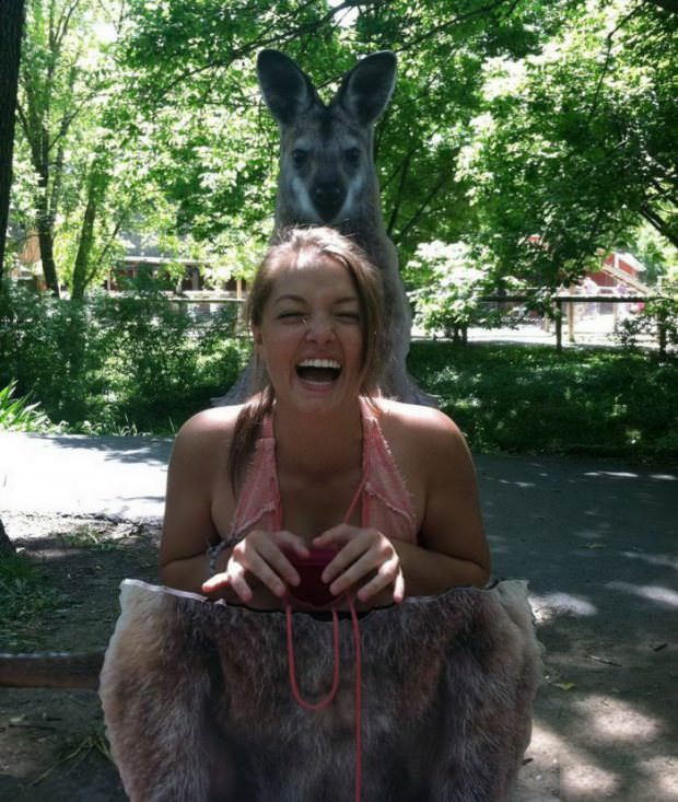 animals