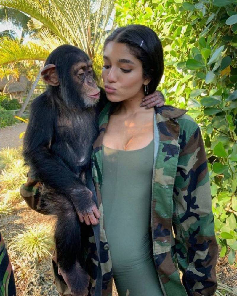 You Animal