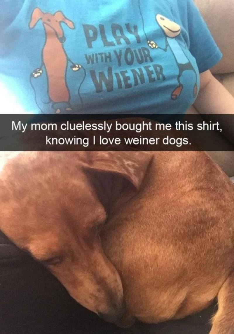 You Animal
