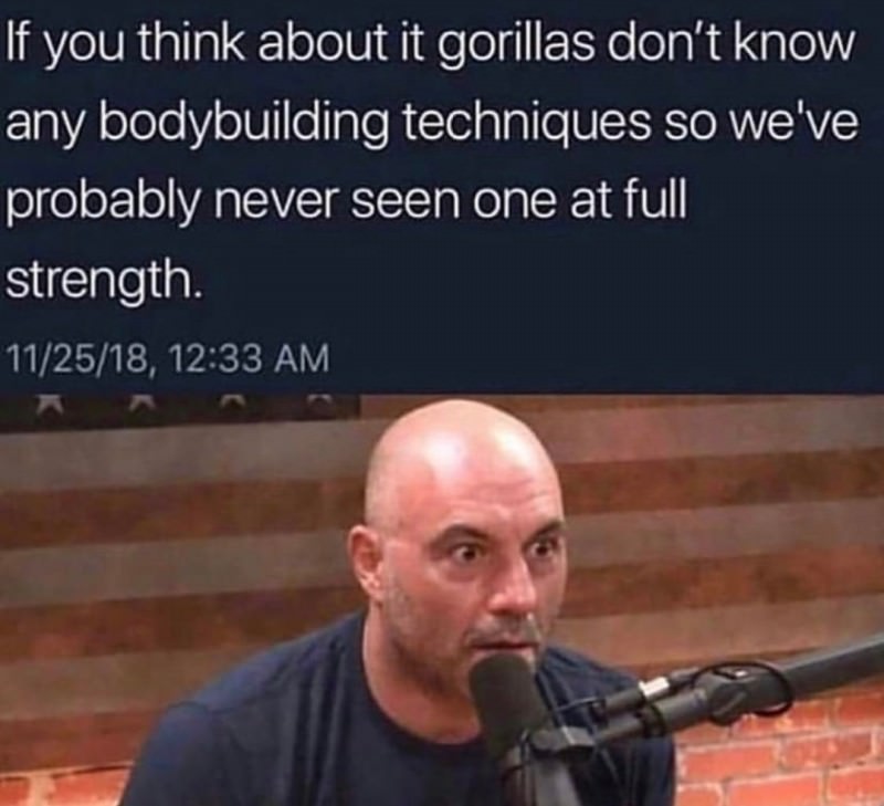 You Animal