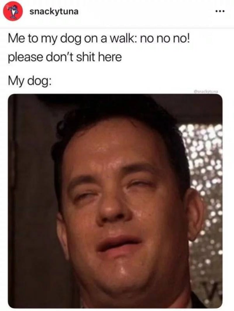 You Animal