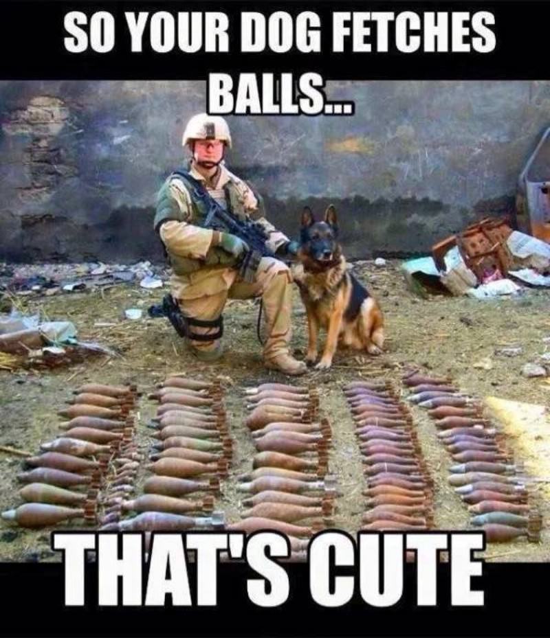 You Animal