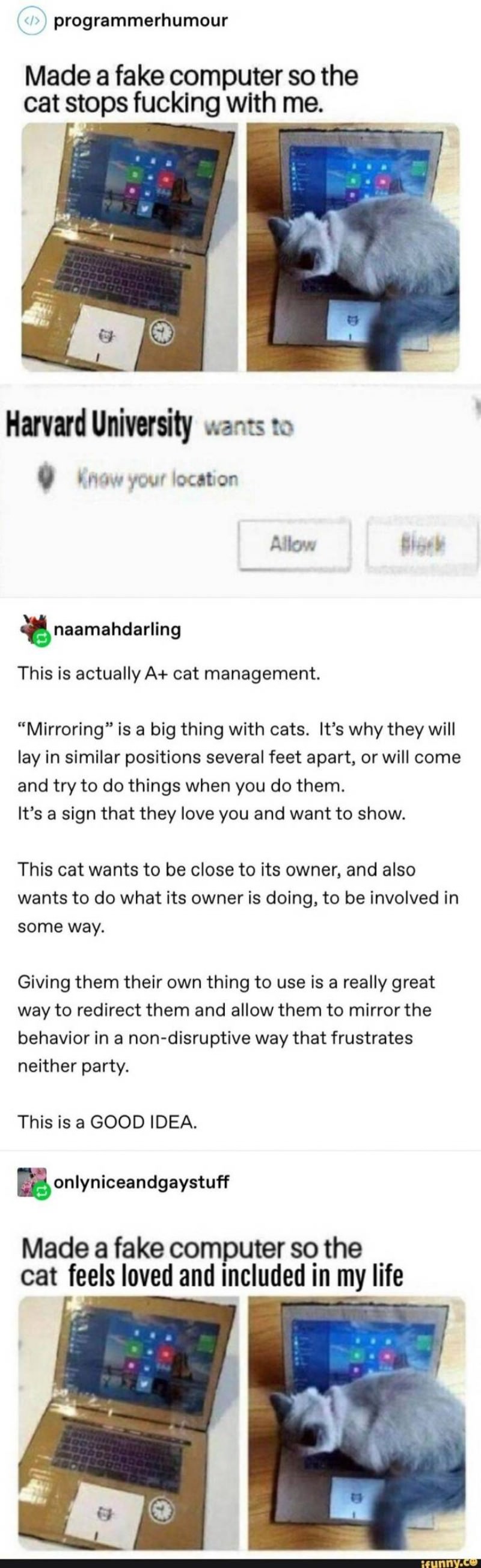 You Animal