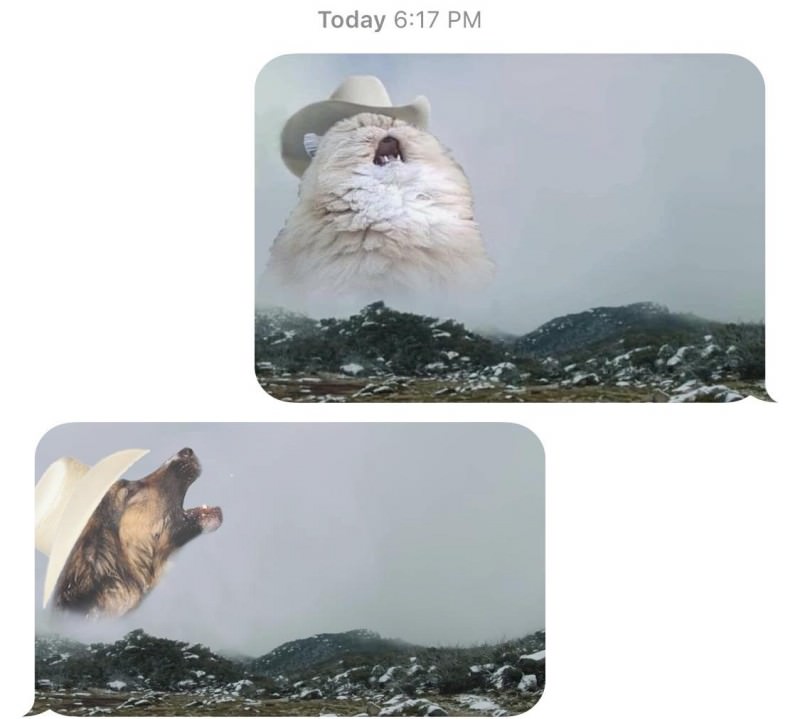 You Animal