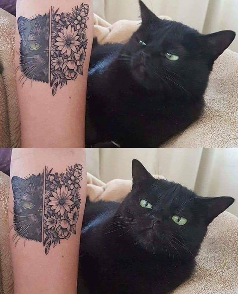 You Animal