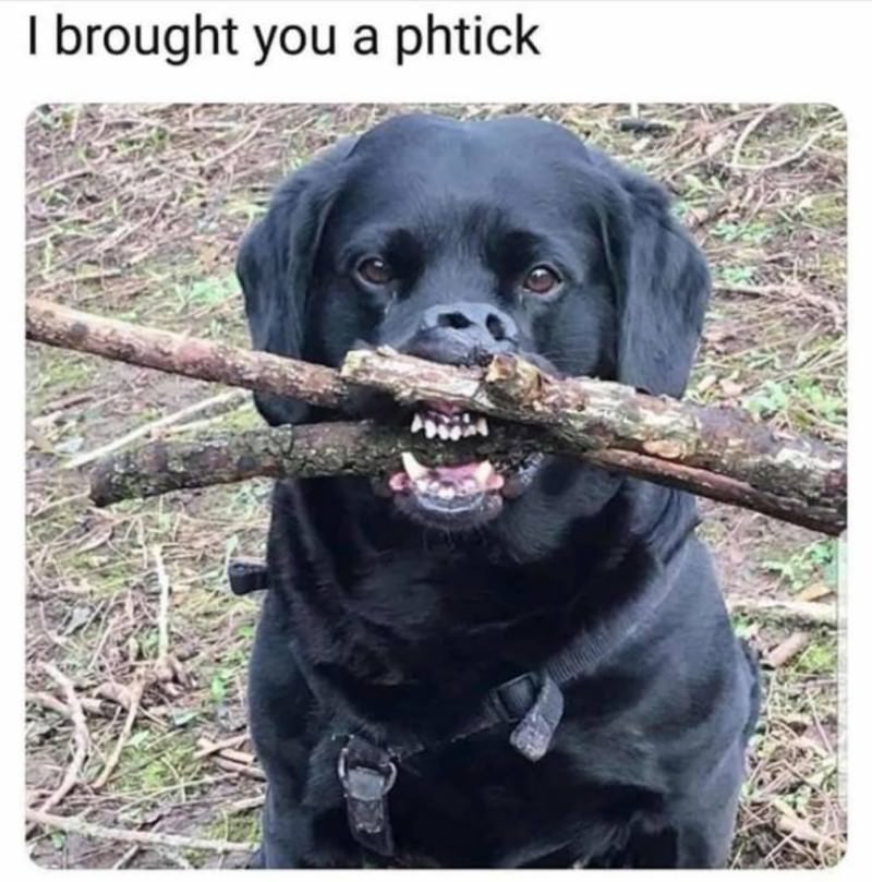 You Animal