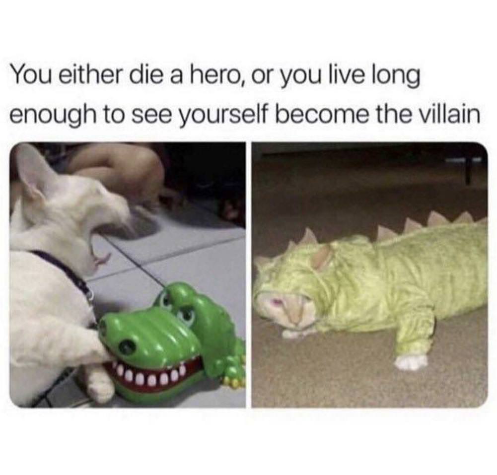 You Animal