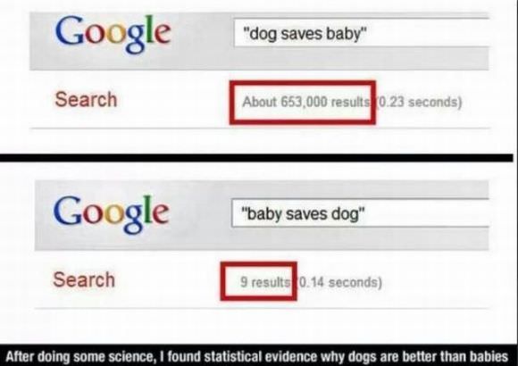 funny animals
