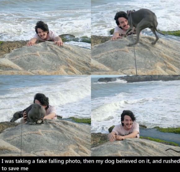 funny animals