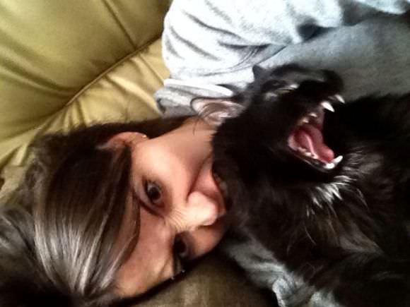 funny animals