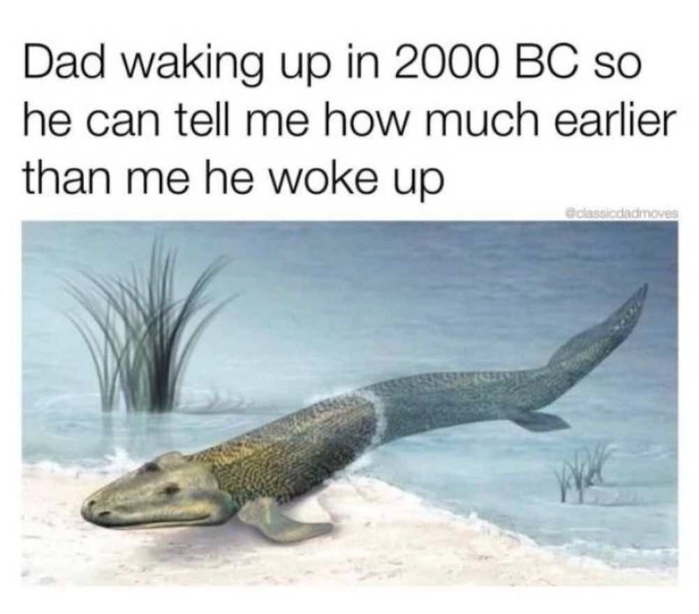 Dad Jokes
